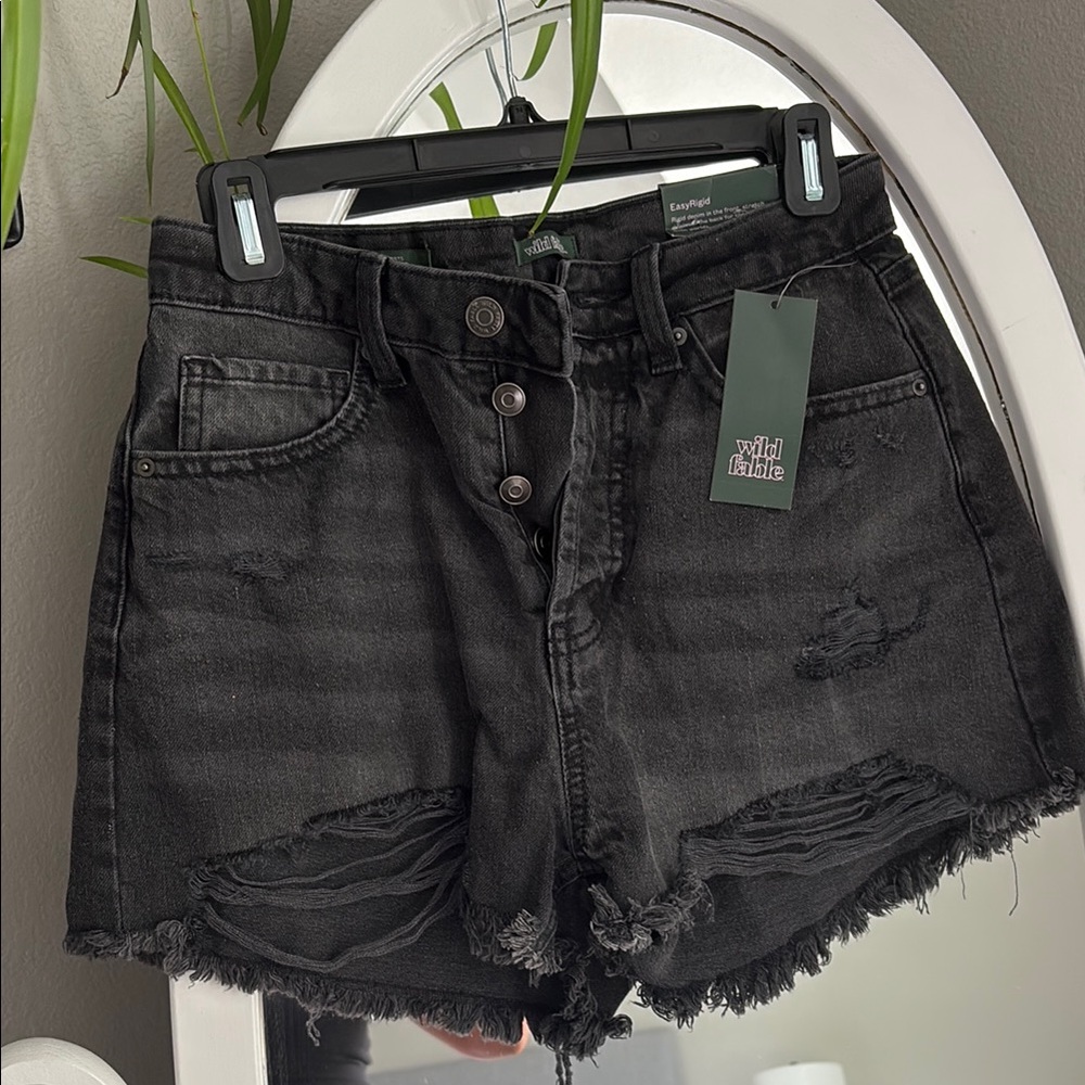 Wild Fable Black Distressed Women Shorts